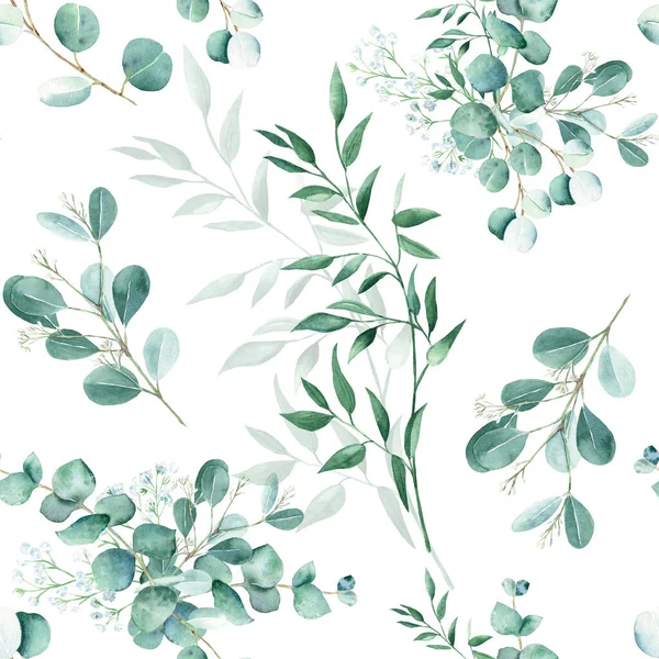 Nahtloses Aquarellmuster Mit Eukalyptus Gipsophila Und Pistazienzweigen Auf Weißem Hintergrund — Stockfoto