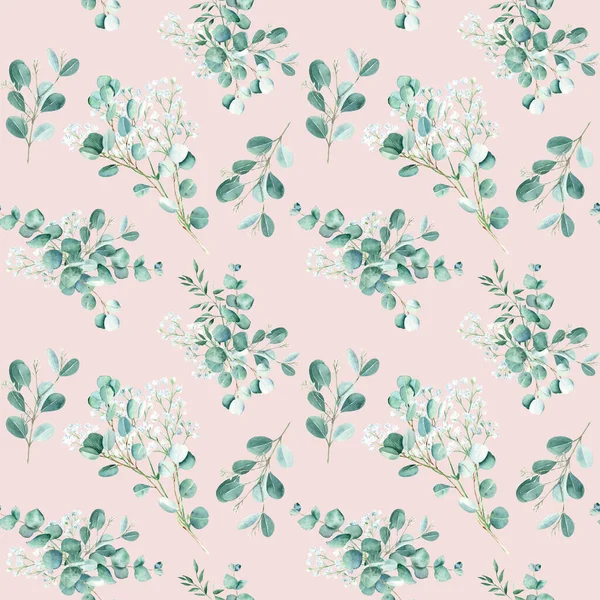 Seamless Watercolor Pattern Eucalyptus Gypsophila Pistachio Branches Pink Background Can — Stock Photo, Image