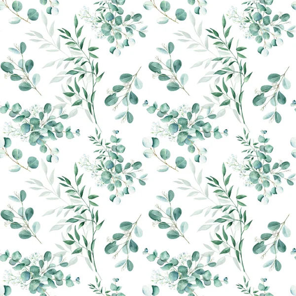Seamless Watercolor Pattern Eucalyptus Gypsophila Pistachio Branches White Background Can — Stock Photo, Image