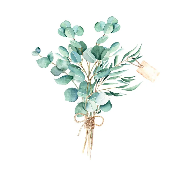 Eucalyptus Akvarel Kytice Vrba Stříbrný Dolar Pravé Modré Větve Jutovým — Stock fotografie