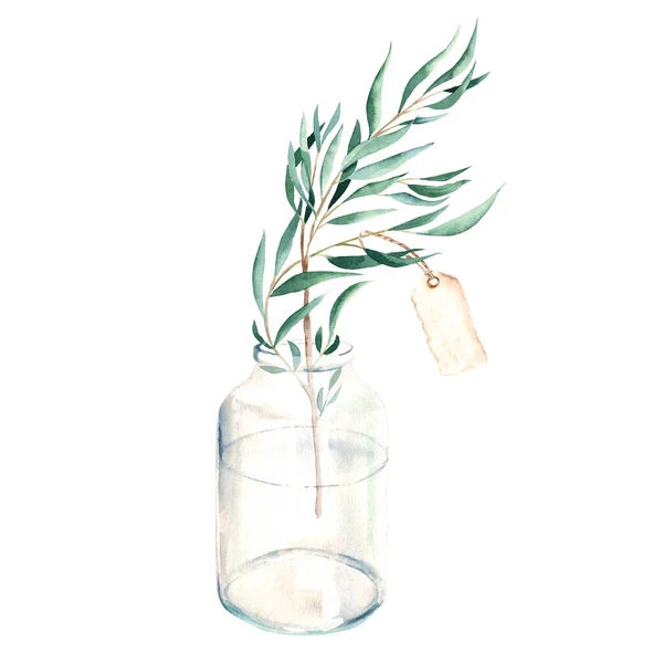 Eukalyptová Větev Papírovou Etiketou Váze Láhvi Sklenici Willow Akvarel Ručně — Stock fotografie