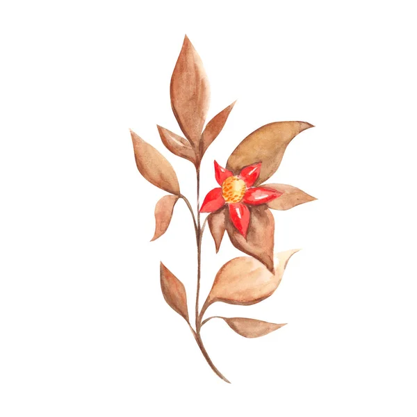 Akvarel Abstraktní Podzimní Větev Červenou Květinou Botanická Ilustrace Bílém Pozadí — Stock fotografie