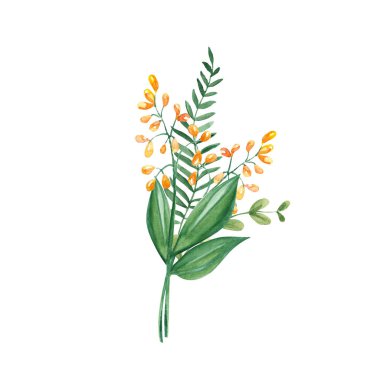 Yeşil dallar ve kır çiçeklerinden oluşan suluboya yaz buketi. Botanik el çizimi çizimi. Tebrik kartları, davetiyeler, çiçek tasarımı için kullanılabilir.