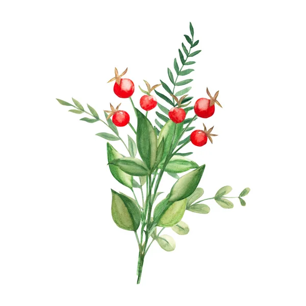 Soyut Yeşil Dallar Kırmızı Böğürtlenlerle Suluboya Yaz Buketi Botanik Çizimi — Stok fotoğraf