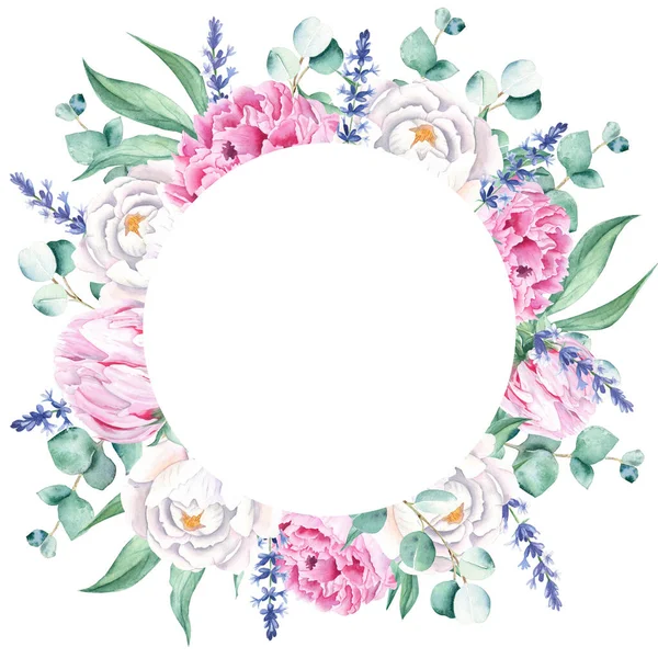 Watercolor Pink White Peonies Eucalyptus Branches Lavender Circle Frame Isolated — Stock Photo, Image