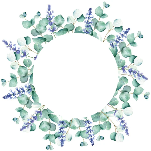 Watercolor Eucalyptus Lavender Branches Circle Frame Isolated White Background Hand — Stock Photo, Image