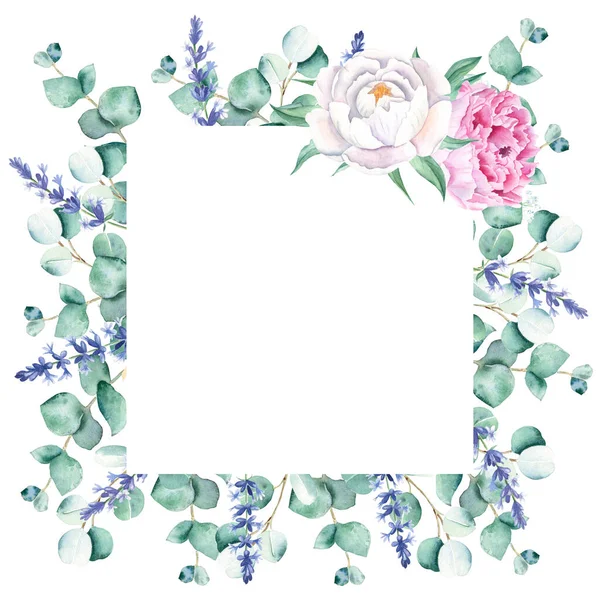 Watercolor Square Frame Pink White Peonies Eucalyptus Lavender Branches Hand — Stock Photo, Image