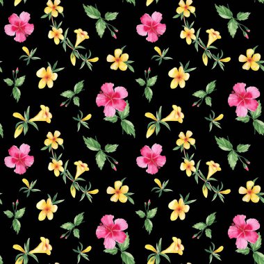 Egzotik tropik çiçeklerle kusursuz suluboya deseni. Hibiscus, alamanda, sarı zil. Botanik illüstrasyon siyah arkaplanda izole edildi. Kumaş baskıları ve hediye ambalajı için kullanılabilir.