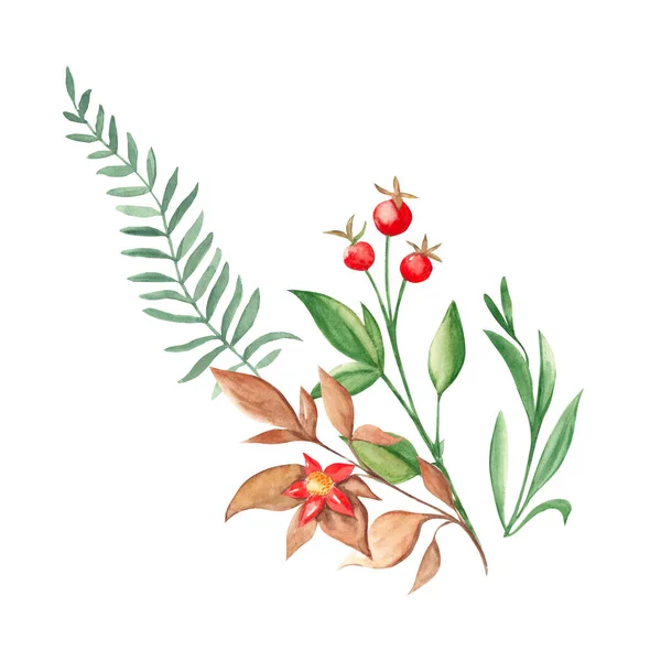 Akvarel Kytice Zeleně Větví Divokých Květin Červených Bobulí Botanická Ručně — Stock fotografie