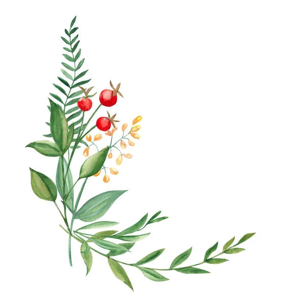 Akvarell Nyári Csokor Zöld Ágak Vadvirágok Vörös Bogyók Botanikus Kézzel — Stock Fotó