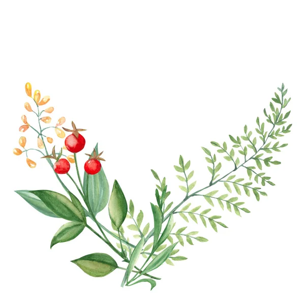 Watercolor Summer Corner Bouquet Green Branches Wildflowers Red Berries Botanical — Stock Photo, Image