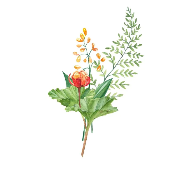 Akvarel Letní Kytice Mramoru Zelená Větev Divoké Květiny Botanické Ručně — Stock fotografie