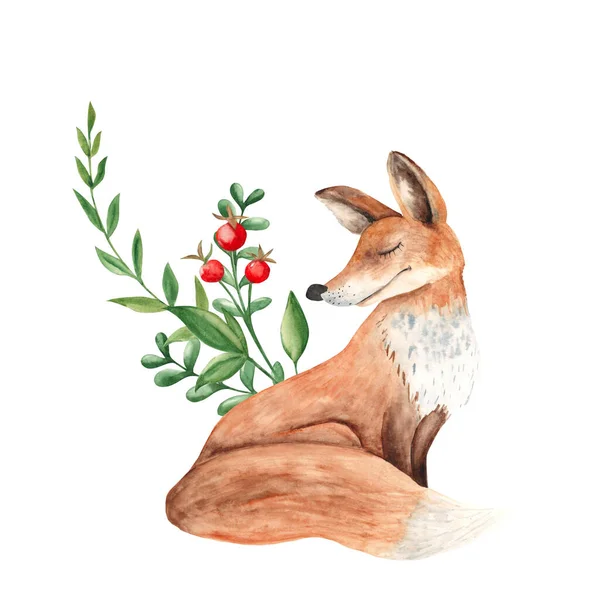 Liška Zelenými Větvemi Červenými Bobulemi Složení Lesa Akvarel Ručně Kreslené — Stock fotografie
