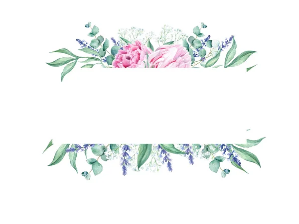 분홍빛 유칼립투스 라벤더가지 손으로 식물학적 삽화가 배경에 분리되어 결혼식에 인사장에 — 스톡 사진