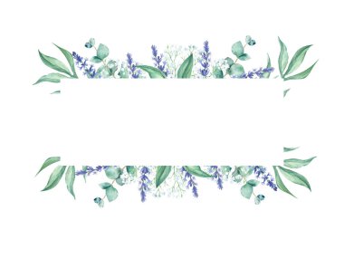 Suluboya, yatay çerçeve, okaliptüs, çingene ve lavanta dalları. El çizimi botanik çizimi beyaz arka planda izole edilmiş. Düğün, tebrik kartları, bebek partisi, afişler için kullanılabilir.