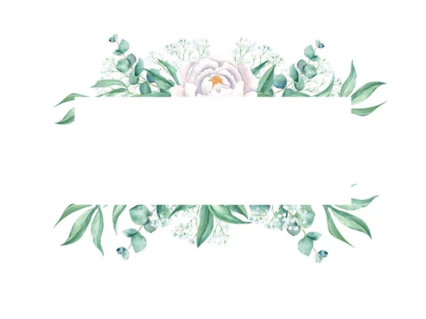 조랑말 유칼립투스 자이언트 학년가지 손으로 식물학적 삽화가 배경에 분리되어 결혼식 — 스톡 사진