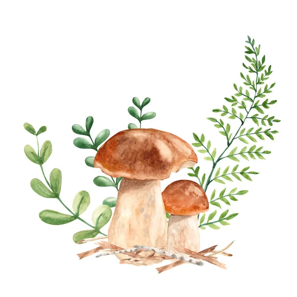 Composição Floresta Aquarela Cogumelos Porcini Samambaia Galhos Ramos Verdes Ilustração — Fotografia de Stock