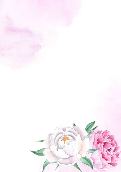 Kwiatowa Karta Tła Szablon Zaproszenia Weselnego Różowymi Białymi Piwoniami Purpurowy — Zdjęcie stockowe