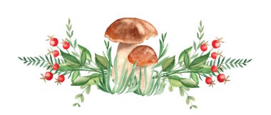 Suluboya orman çelengi, beyaz arka planda izole edilmiş yatay bileşim. Porcini mantarı, yeşil dallar, kırmızı böğürtlen. Botanik el çizimi çizimi. Tebrik kartları için.