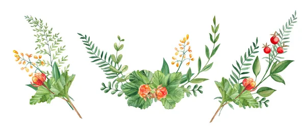 Sada Akvarelů Letní Kytice Zelených Větví Mramoru Divokých Květin Červených — Stock fotografie