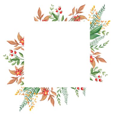 Eğreltiotlu suluboya kare orman çerçevesi, yeşil dallar, kırmızı ve sarı meyveler ve beyaz arka planda izole edilmiş kır çiçekleri. El çizimi botanik çizimi. Logo tasarımı için kullanılabilir.