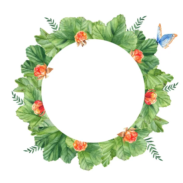 Cloudberry Leaves Berries Green Branches Blue Butterfly Watercolor Circle Summer — Stock Photo, Image