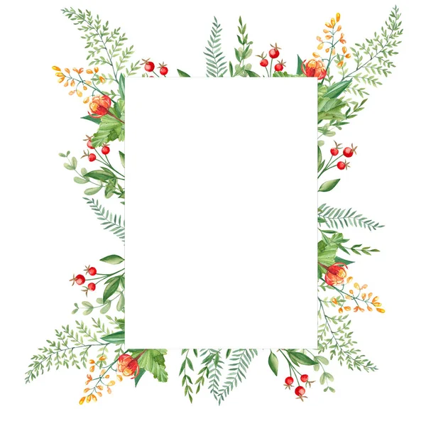 Watercolor Forest Frame Cloudberries Fern Green Branches Red Berries Isolated — Stock Photo, Image