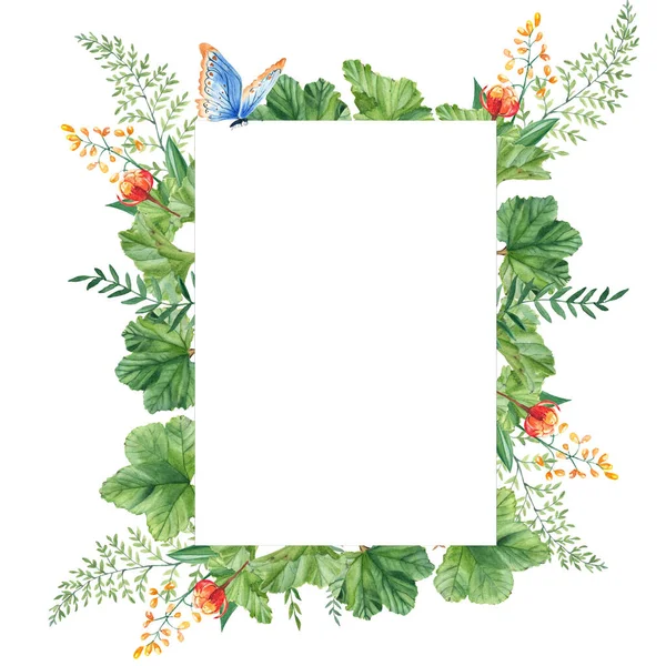 Листя Полуниці Ягоди Зелені Гілки Жовті Дикі Квіти Синій Метелик — стокове фото