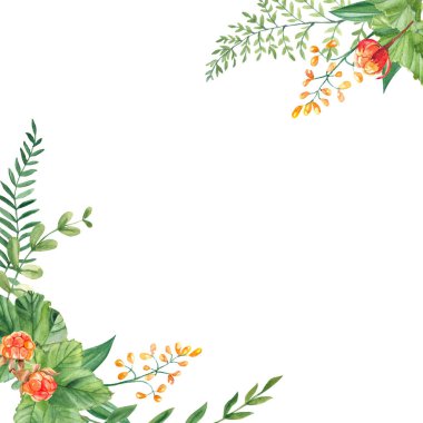 Suluboya kare orman çerçevesi, eğreltiotu ile sınır, yeşil dallar ve beyaz arka planda izole edilmiş sarı kır çiçekleri. El çizimi botanik çizimi. Logo tasarımı için kullanılabilir.