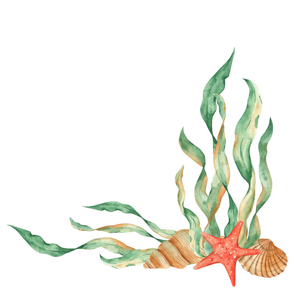 Подводный состав морских водорослей, красных морских звезд и ракушек. Акварель. Для открыток, плакатов, меню, дизайн морского пляжа