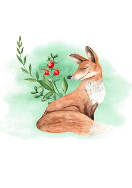 Anne tilki şablonu, yeşil dallar ve suluboya arka planda kırmızı böğürtlenler. El çizimi çocuk orman illüstrasyonu. Davetiyeler, selamlar, doğum günü kartları, bebek partisi, posterler için.