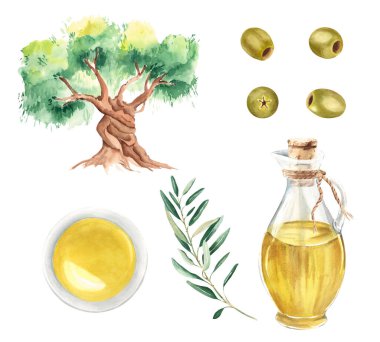Zeytin ağacı, cam sürahi ve yağlı kase, zeytin dalı ve yeşil zeytin. Beyaz arka planda elle çizilmiş suluboya çizimi. Menü, ürün ve italyan, Yunan, İspanyol mutfak tasarımı için.