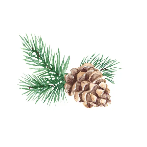 Forest Pine Branches Cone Watercolor Hand Painted Illustration White Background — Stock Photo, Image
