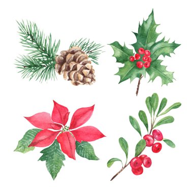 Kış bitkileri: orman çam dalları külahlı, kırmızı noktalı, kızılcıklı çoban püskülü, inek üzümü, yaban mersini dalı. Yeni yılın ve Noel 'in sembolleri. Suluboya elle boyanmış resim