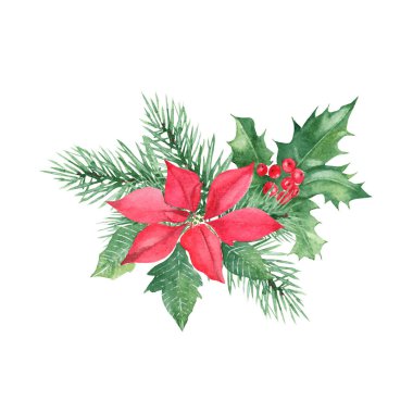 Kış bitkileri bileşimi. Orman çam dalları, kırmızı böğürtlenli Holly bitkisi, poinsettia. Yeni yılın ve Noel 'in sembolleri. Beyaz arkaplanda izole edilmiş suluboya el resmi