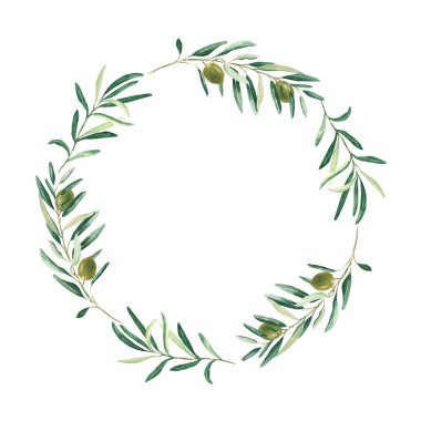 Yeşil zeytinli suluboya zeytin çelengi. Beyaz arka planda izole edilmiş. El çizimi botanik çizimi. Kart, amblem, logo ve gıda tasarımı için kullanılabilir