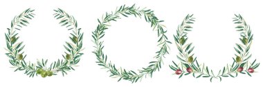 Suluboya zeytin çelenkleri. Çember çerçeveler, sınırlar yeşil ve kırmızı meyveler. Beyaz arka planda izole edilmiş. El çizimi botanik çizimi. Kart, amblem ve gıda tasarımı için kullanılabilir