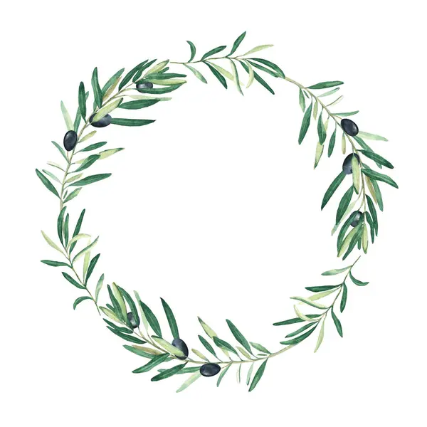 Watercolor olive tree wreath with black olives. Isolated on white background. Hand drawn botanical illustration. Can be used for cards, logos and food design