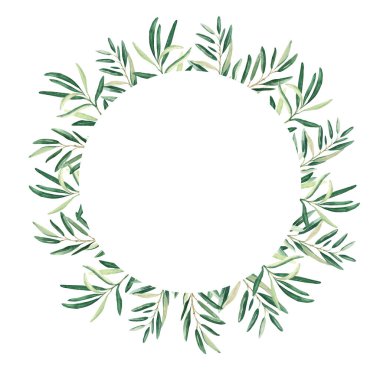 Suluboya zeytin çelengi, çerçeve ya da kenar. Beyaz arka planda izole edilmiş. El çizimi botanik çizimi. Kartlar, logolar ve kozmetik tasarım için kullanılabilir