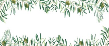 Yatay çerçeve, zeytin dalları ve yeşil meyvelerle sınır. Suluboya el çizimi çizimi. Menü tasarımı için bir web pankartı, kart ve davet şablonu kadar mükemmel