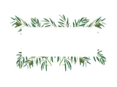 Yatay çerçeve, zeytin dalları ve yeşil meyvelerle sınır. Suluboya el çizimi çizimi. Kartlar, logolar, pankartlar, şablonlar ve kozmetik tasarım için