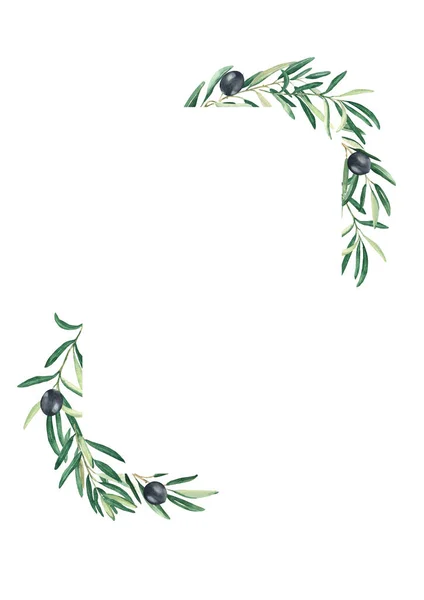 Olive tree square vertical frame. Black olives and branches. Hand drawn watercolor botanical illustration isolated on white background. Can be used for cards, logos and cosmetic design
