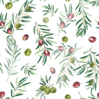 Beyaz zemin üzerinde yeşil ve kırmızı zeytin dalları olan dikişsiz suluboya deseni. Tekstil, duvar kağıdı baskıları, mutfak, yemek ve kozmetik tasarım için kullanılabilir
