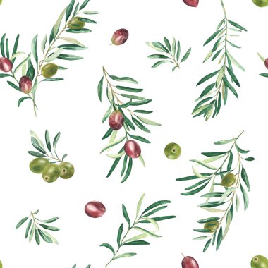 Beyaz zemin üzerinde yeşil ve kırmızı zeytin dalları olan dikişsiz suluboya deseni. Tekstil, duvar kağıdı baskıları, mutfak, yemek ve kozmetik tasarım için kullanılabilir