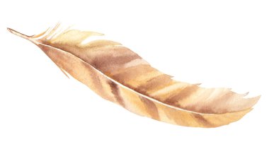 Açık kahverengi, beyaz arka planda izole edilmiş bej tüy, suluboya el çizimi. Dekorasyon, kartlar ve tekstil baskıları için