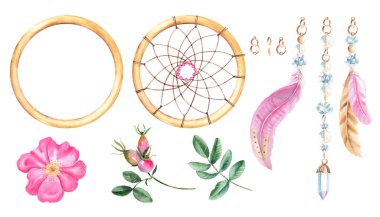 Suluboya el çizimi rüya yakalayıcı. Tüyler, kristaller, boncuklar, altın yüzükler ve köpek gülü çiçekler. Beyaz arkaplanda izole edilmiş tasarım ögeleri
