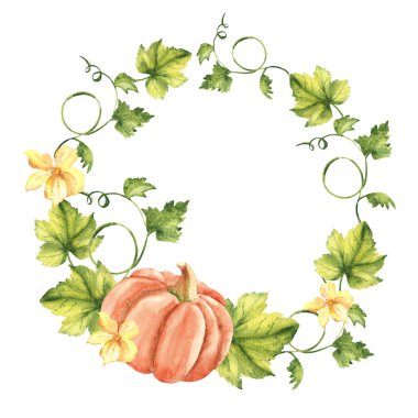 Balkabağı suluboya çelengi. El yapımı bitkisel illüstrasyon beyaz arka planda izole edildi. Davetiye ve tebrik kartları, logolar ve tekstil tasarımı için kullanılabilir. Eski stil