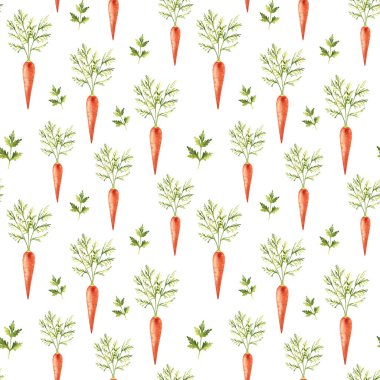 Maydanoz dalları ve beyaz arka planda yaprakları olan dikişsiz havuç boyası deseni. Mutfak tekstil baskıları ve ürün ambalaj tasarımı için kullanılabilir