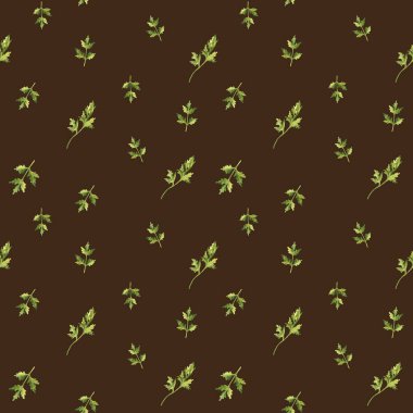 Maydanoz bitkisi koyu kahverengi arka planda suluboya desenler bırakır. Mutfak tekstil baskıları ve ürün ambalaj tasarımı için kullanılabilir