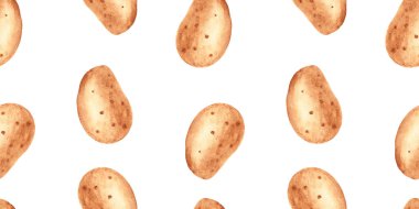 Beyaz arka planda patates suluboya deseni. Mutfak tekstil baskıları ve ürün ambalaj tasarımı için kullanılabilir